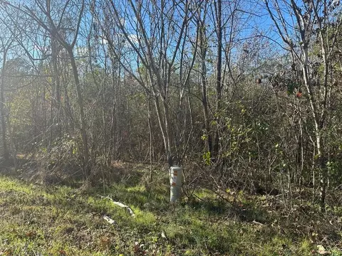 00 Mt Carmel Rd, Decatur, TN 37322