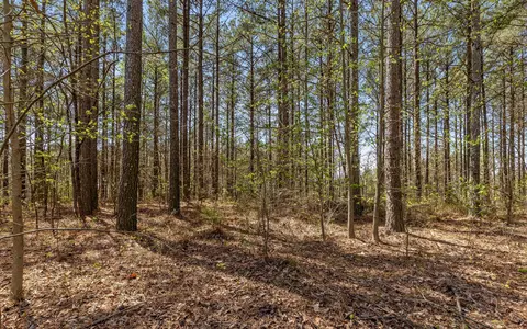 lot2225 High Ground Rd, Guild, TN 37340 photo 11