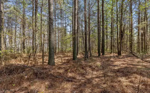 lot2225 High Ground Rd, Guild, TN 37340 photo 10