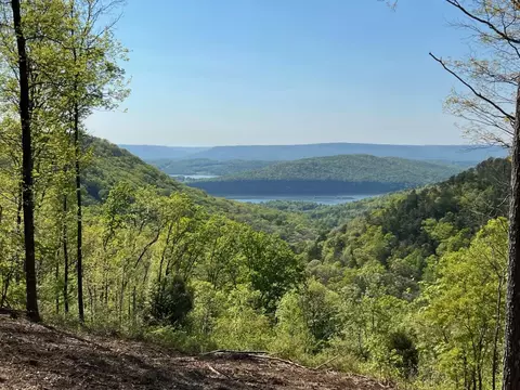 1755 Birds Eye Way #1072, Guild, TN 37340