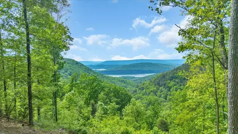 1755 Birds Eye Way #1072, Guild, TN 37340
