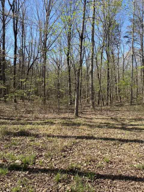 362 Haynes Rd, Sewanee, TN 37375