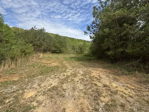 367 Leggett Rd, Sale Creek, TN 37373
