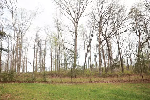 Exterior - 175 Teeters Loop, Dunlap, TN 37327 photo 12 of 17