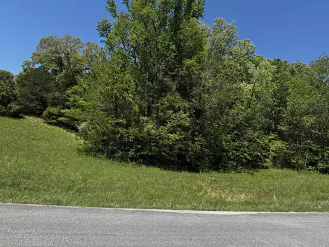 00 Goodfield Ter #33, Decatur, TN 37322