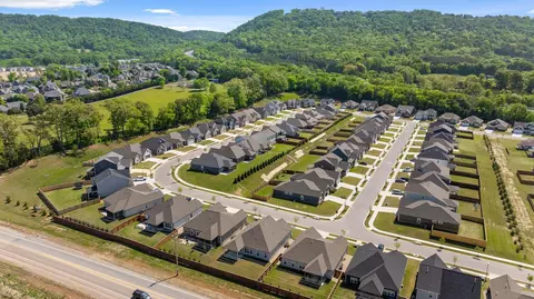 9186 Knolling Loop, Ooltewah, TN 37363 photo 40