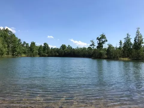100 Bluff View Dr, Dunlap, TN 37327