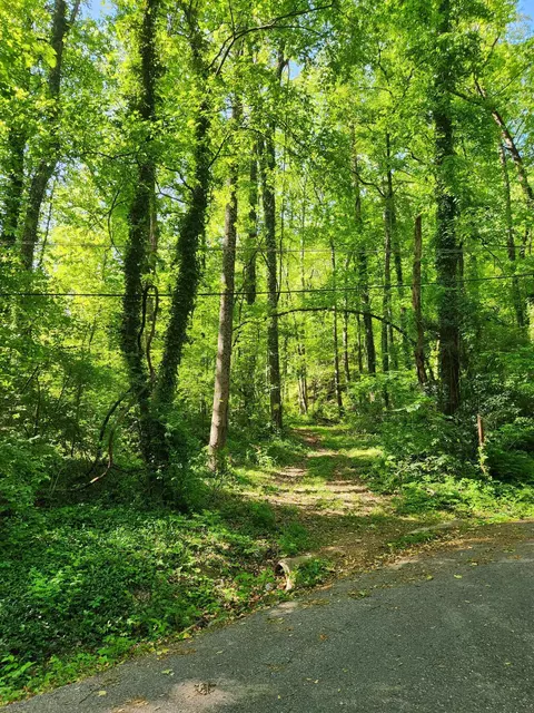 0 Gaylord St, Red Bank, TN 37415