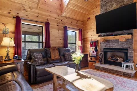 Living - 844 Fawn Cir, Dunlap, TN 37327 photo 4 of 7
