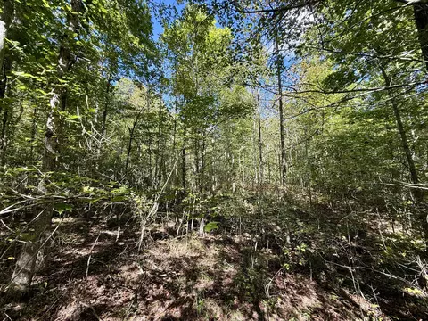 0 Owl Hollow Rd #LOT 1, Palmer, TN 37365