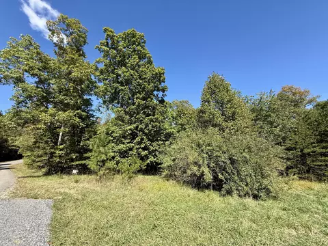 0 Owl Hollow Rd #2, Palmer, TN 37365