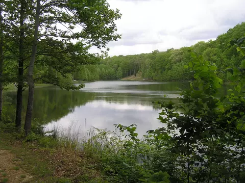 100 Valley View Dr, Altamont, TN 37301