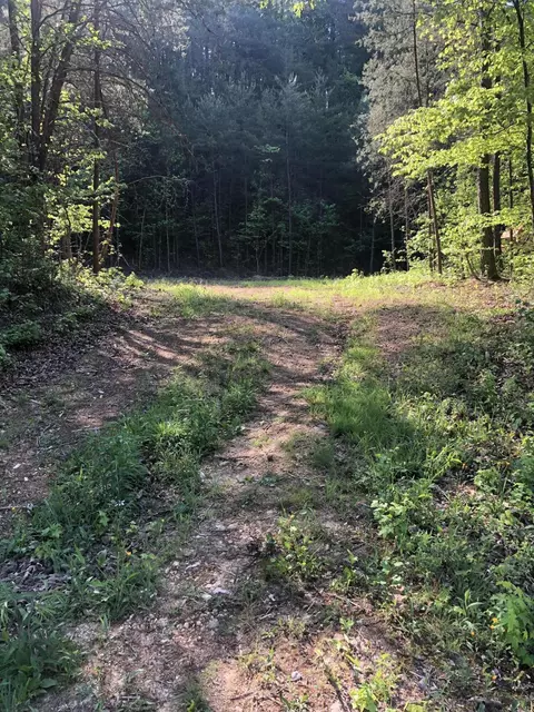 0 Chamberlain Rd, Lafayette, GA 30728