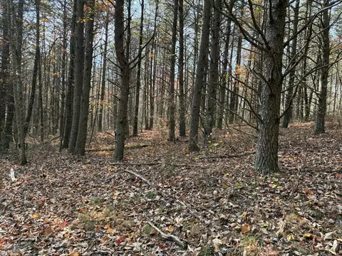 360 Bootleg Bnd #2182, Guild, TN 37340 photo 6