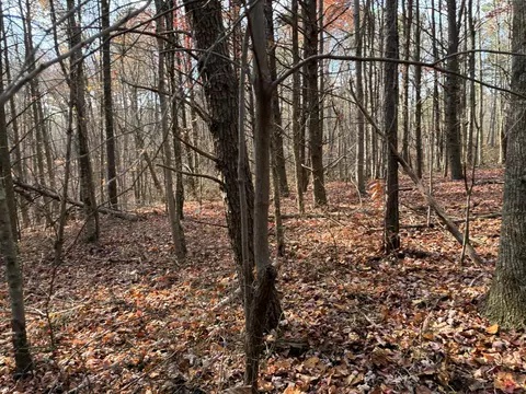 360 Bootleg Bnd #2182, Guild, TN 37340 photo 16
