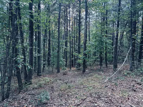 360 Bootleg Bnd #2182, Guild, TN 37340 photo 8