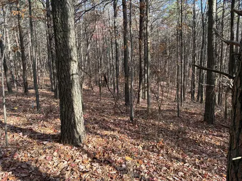360 Bootleg Bnd #2182, Guild, TN 37340 photo 7