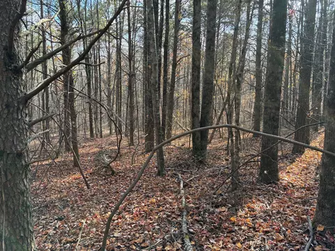 360 Bootleg Bnd #2182, Guild, TN 37340 photo 8