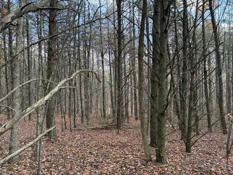 360 Bootleg Bnd #2182, Guild, TN 37340 photo 18