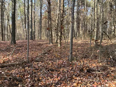 360 Bootleg Bnd #2182, Guild, TN 37340 photo 15