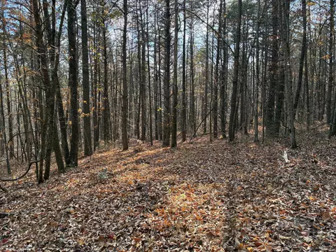 360 Bootleg Bnd #2182, Guild, TN 37340 photo 4
