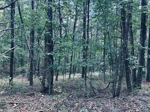 360 Bootleg Bnd #2182, Guild, TN 37340 photo 7