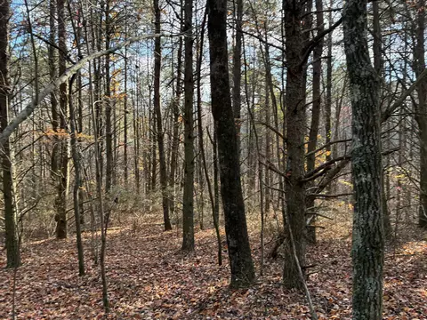 360 Bootleg Bnd #2182, Guild, TN 37340 photo 11