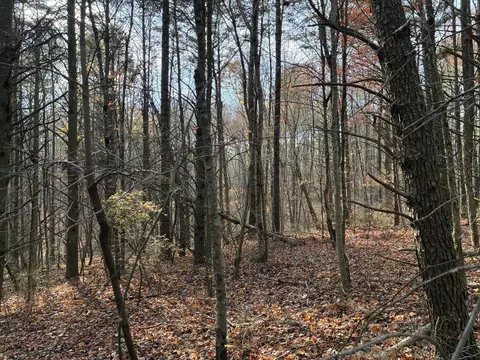 360 Bootleg Bnd #2182, Guild, TN 37340 photo 10