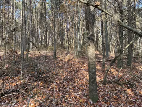 360 Bootleg Bnd #2182, Guild, TN 37340 photo 14