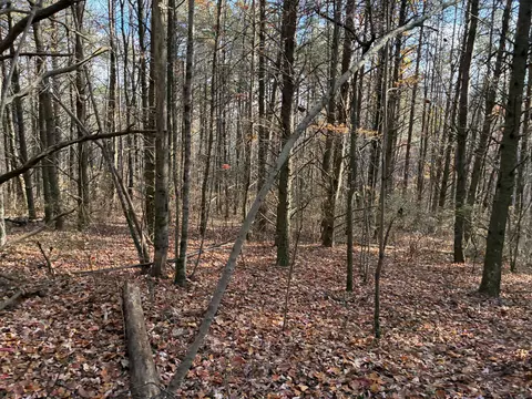 360 Bootleg Bnd #2182, Guild, TN 37340 photo 12