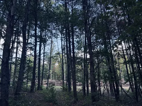 360 Bootleg Bnd #2182, Guild, TN 37340 photo 6