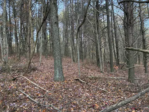 360 Bootleg Bnd #2182, Guild, TN 37340 photo 17