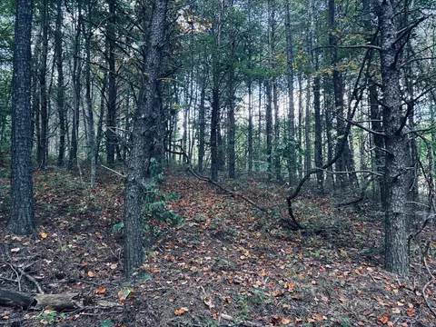 360 Bootleg Bnd #2182, Guild, TN 37340 photo 12