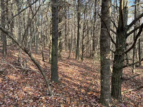 360 Bootleg Bnd #2182, Guild, TN 37340 photo 13