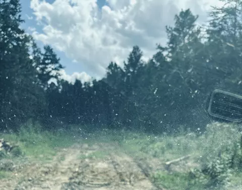 360 Bootleg Bnd #2182, Guild, TN 37340 photo 22