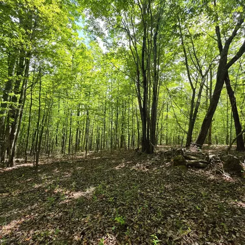 lot15 B Cluck Cove Rd, South Pittsburg, TN 37380