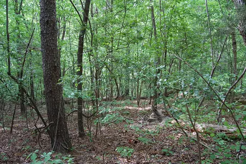 0 Carpenter Rd, Dunlap, TN 37327 photo 13