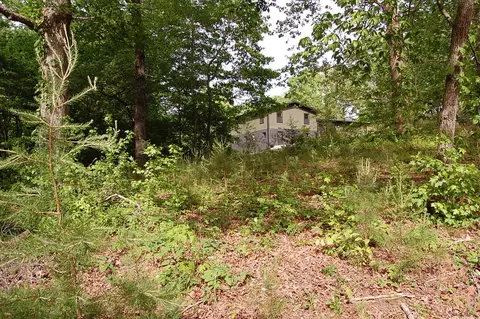 0 Carpenter Rd, Dunlap, TN 37327 photo 19