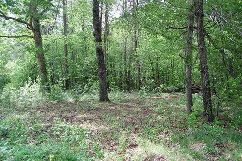 0 Carpenter Rd, Dunlap, TN 37327 photo 10