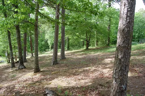 0 Carpenter Rd, Dunlap, TN 37327 photo 6
