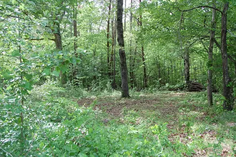0 Carpenter Rd, Dunlap, TN 37327 photo 18