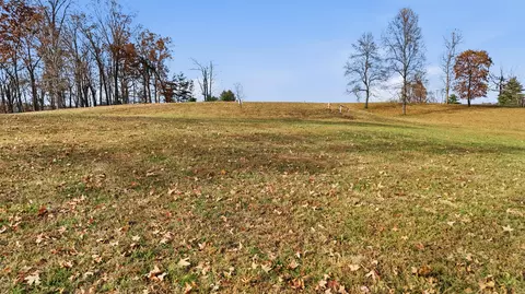 150 Quail Hollow Cv, Spring City, TN 37381