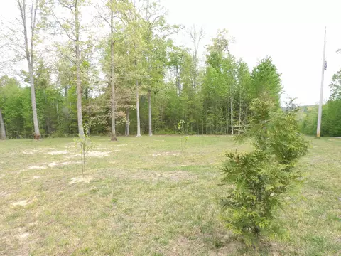 Exterior - 197 Echo Point Rd, Dunlap, TN 37327 photo 18 of 28