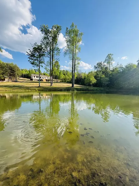 View/Area - 197 Echo Point Rd, Dunlap, TN 37327 photo 1 of 4