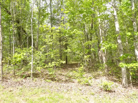 Exterior - 197 Echo Point Rd, Dunlap, TN 37327 photo 20 of 28