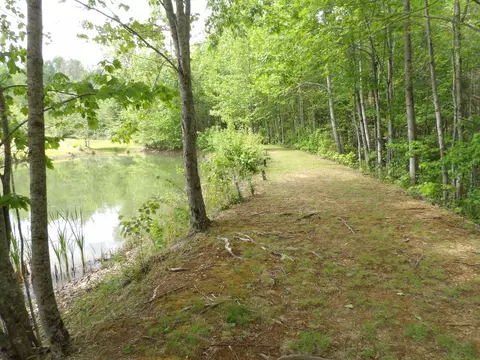 Other - 197 Echo Point Rd, Dunlap, TN 37327 photo 11 of 16