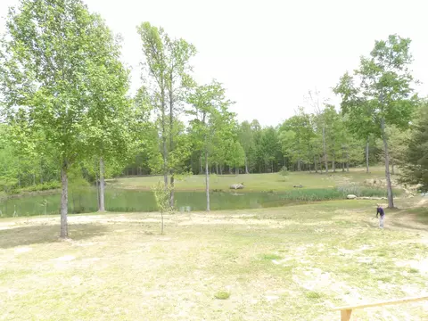 View/Area - 197 Echo Point Rd, Dunlap, TN 37327 photo 3 of 4