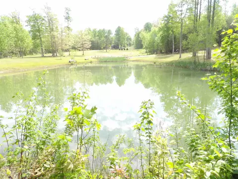 View/Area - 197 Echo Point Rd, Dunlap, TN 37327 photo 2 of 4