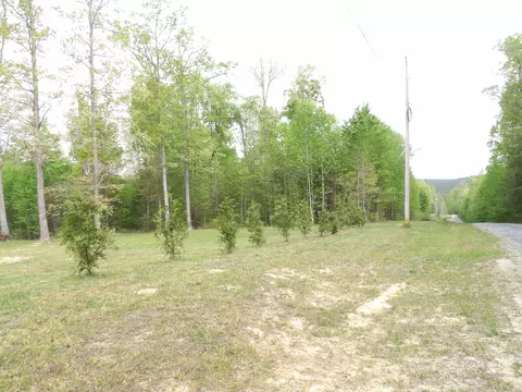 Exterior - 197 Echo Point Rd, Dunlap, TN 37327 photo 17 of 28