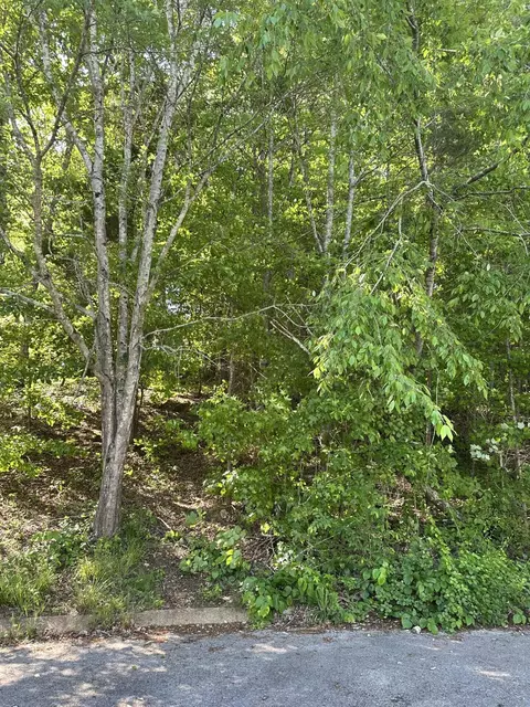 6900 Spinmaker Cv, Ooltewah, TN 37363